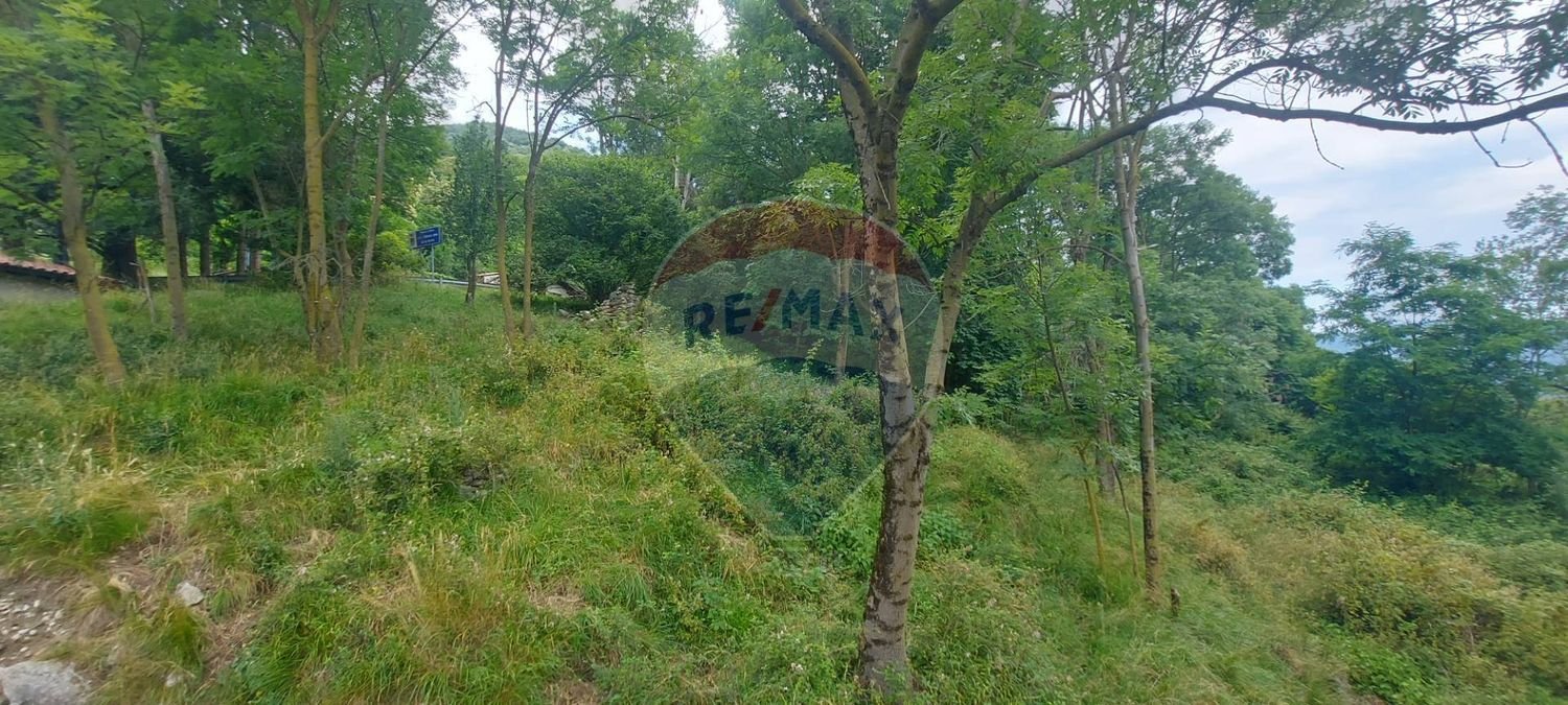 Terrain à Duno, Italy 4650m² No. 78929