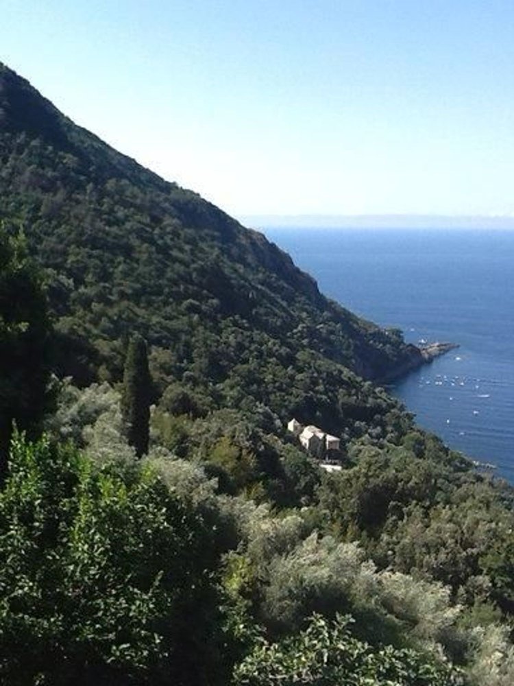 4 bedrooms Apartment in Camogli, Italy No. 395587