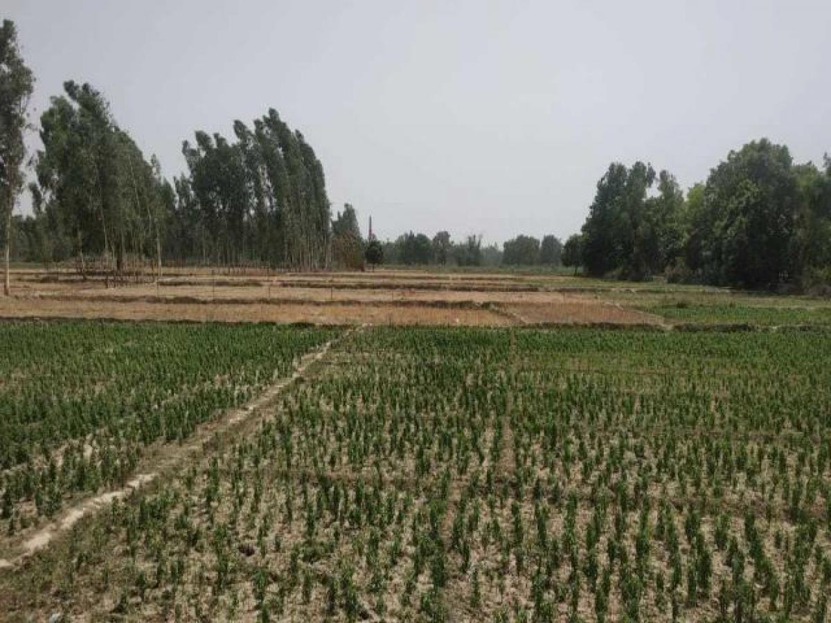 Terreno en Lucknow, India No. 34636