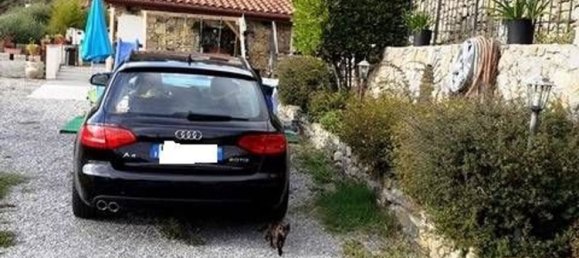 5 rooms Villa in Soldano, Italy No. 220057 5