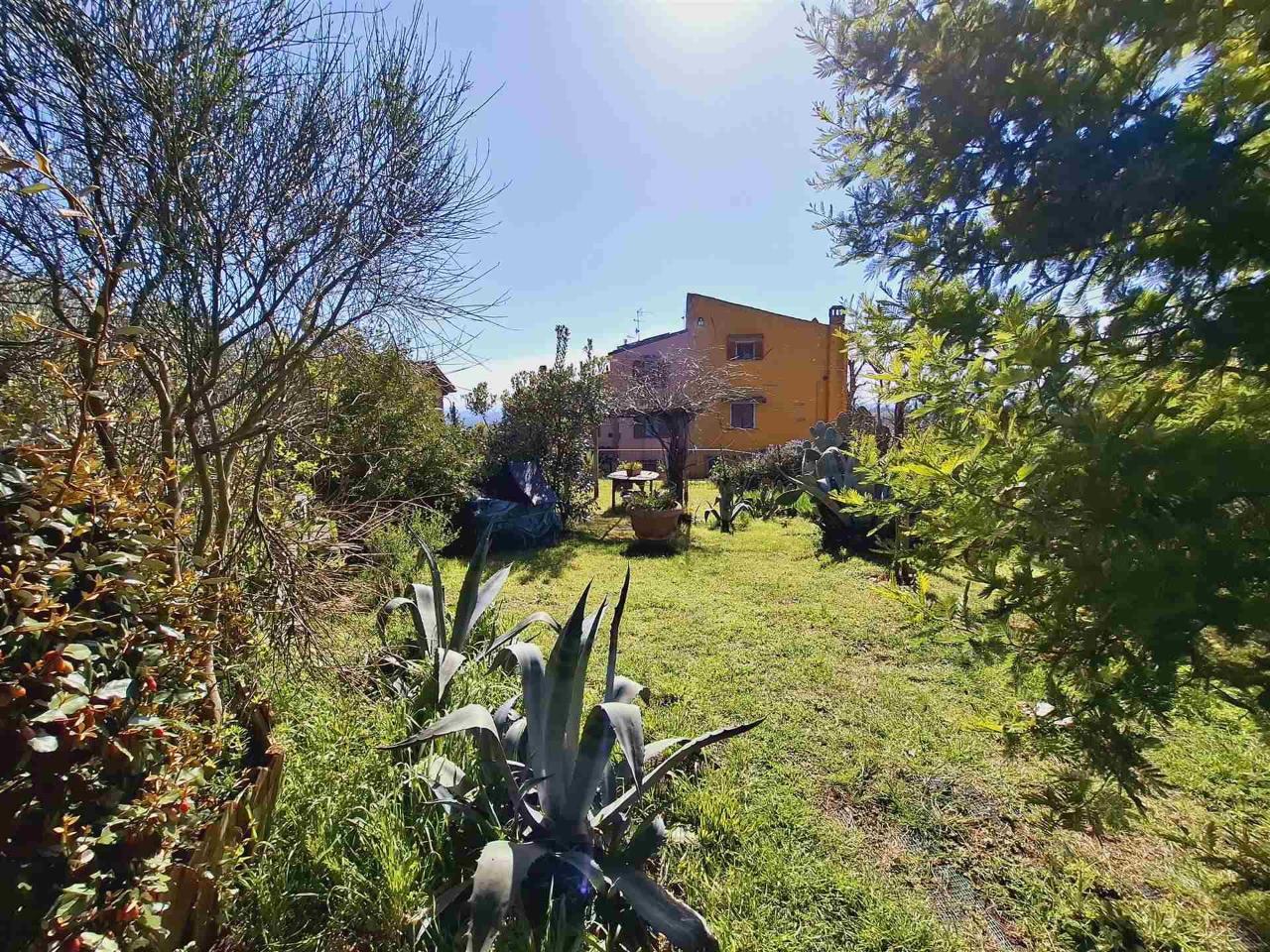 5 rooms House in Capraia e Limite, Italy No. 38055