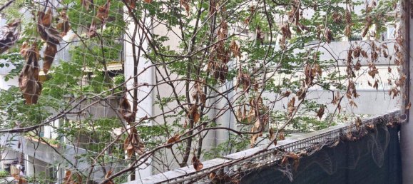 4غرفة منزل ذو طابقين في Margareten, Austria رقم 255494 17