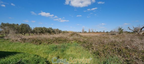 Casa de 2 divisões em Alezio, Italy N.º 232894 12