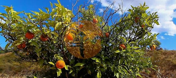 Grundstück in Castro Marim, Portugal 127960m², Nr. 130462 19