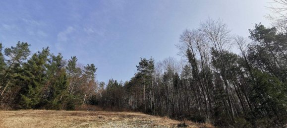  قطعة أرض في Walpersbach, Austria رقم 42700 4