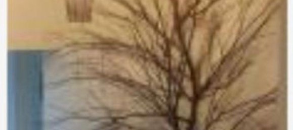 3 Schlafzimmer Haus in Nayarit, Mexico, Nr. 146113 2