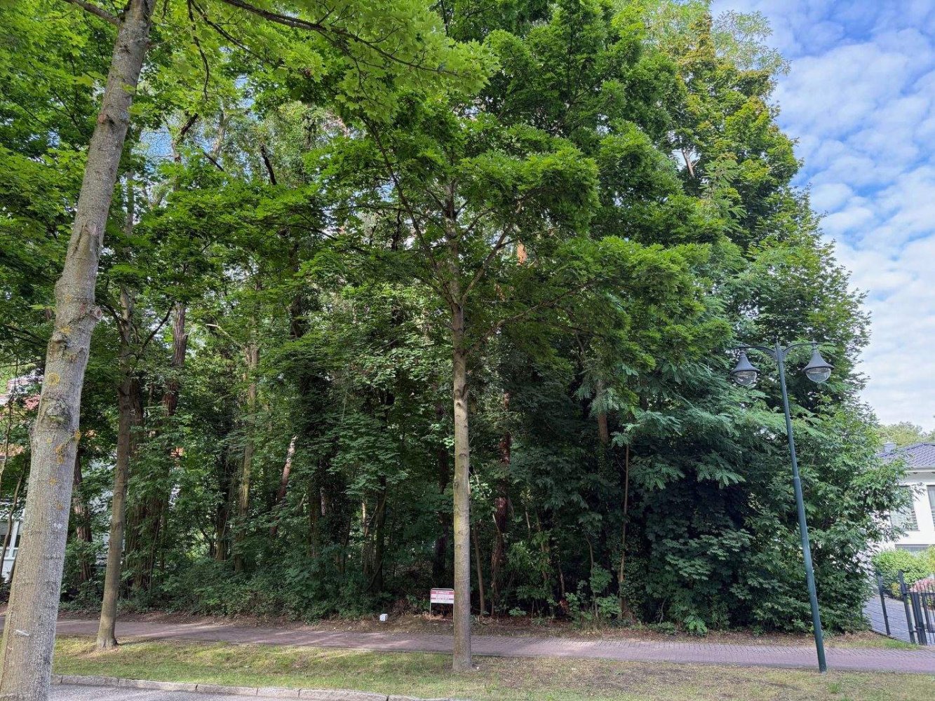  Land in Oder-Spree, Germany No. 312342