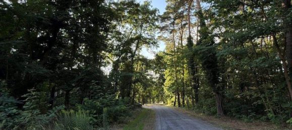  Land in Oder-Spree, Germany No. 312342 7