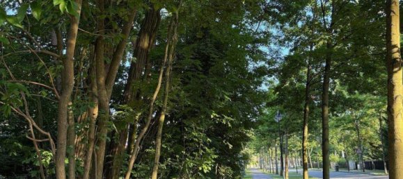  Land in Oder-Spree, Germany No. 312342 6