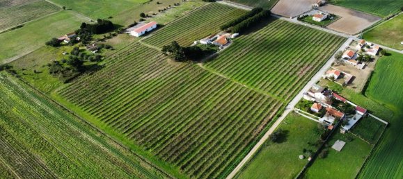 2 bedrooms House in Palmela, Portugal No. 67837 11