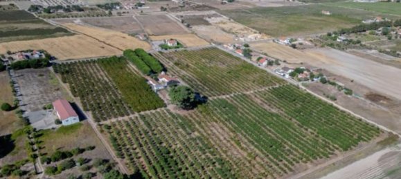 2 bedrooms House in Palmela, Portugal No. 67837 12