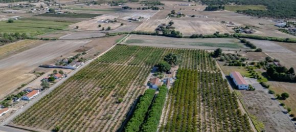 2 bedrooms House in Palmela, Portugal No. 67837 13