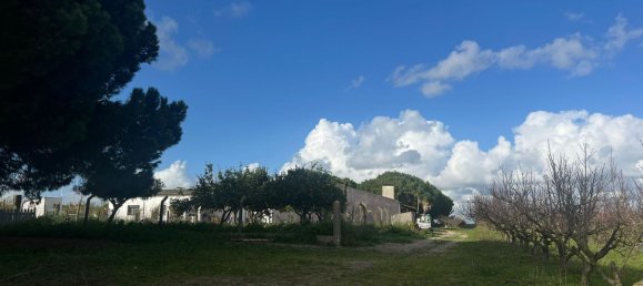 2 bedrooms House in Palmela, Portugal No. 67837 22