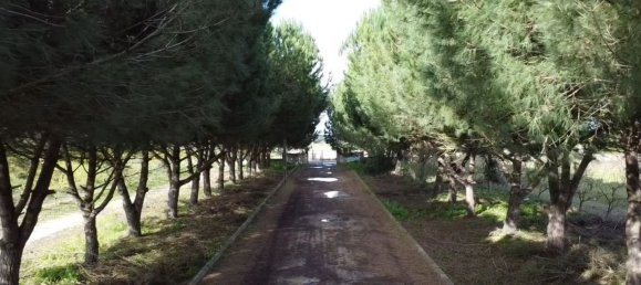 2 bedrooms House in Palmela, Portugal No. 67837 16