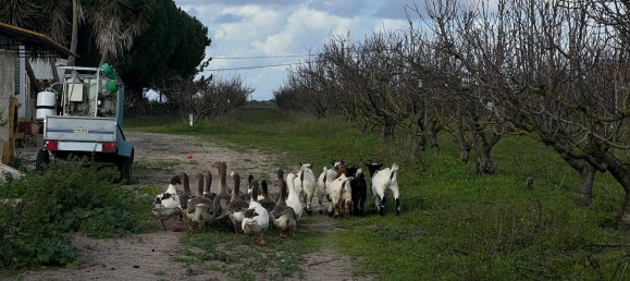 2 bedrooms House in Palmela, Portugal No. 67837 20