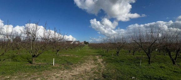 2 bedrooms House in Palmela, Portugal No. 67837 23