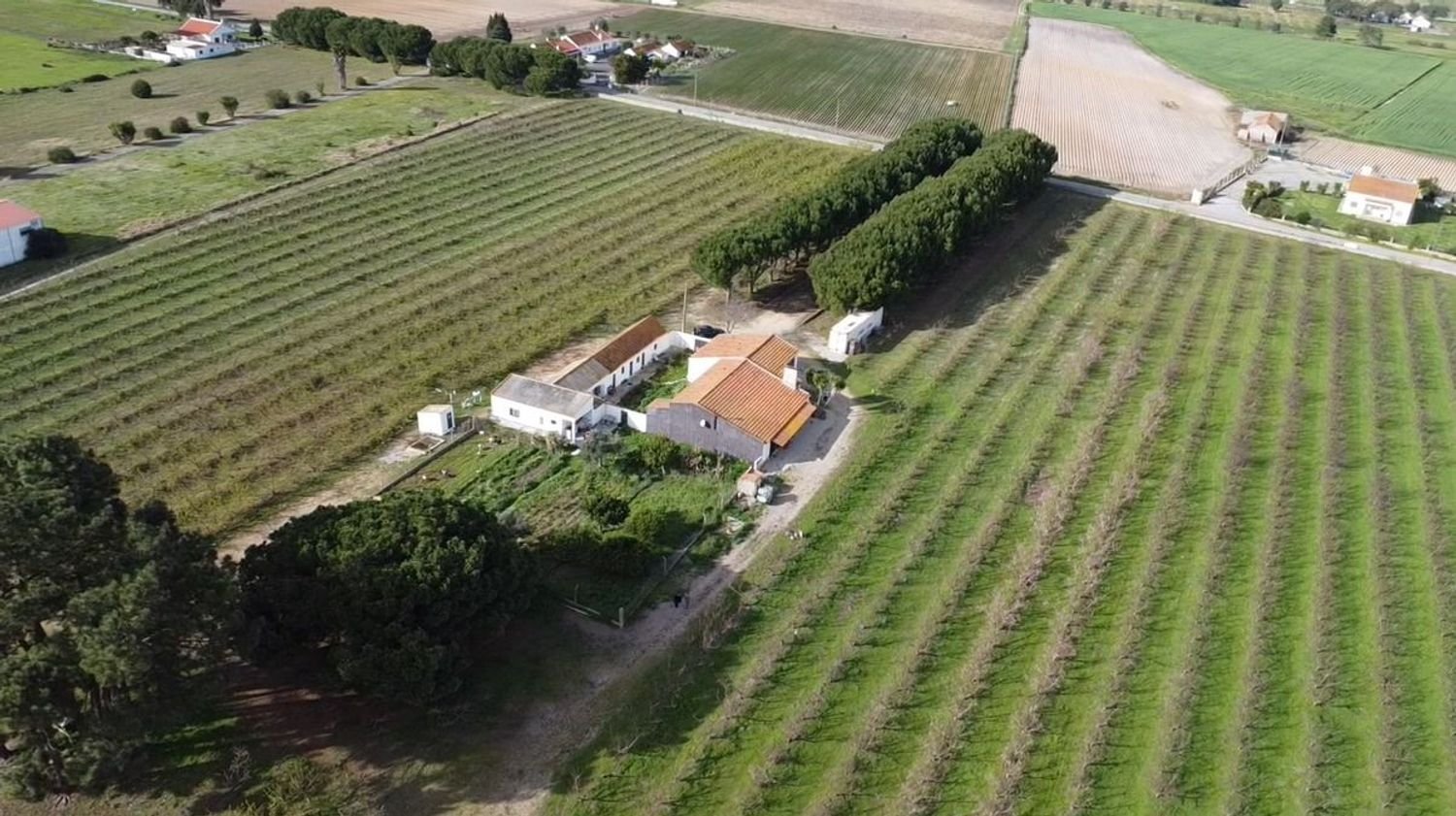 2 bedrooms House in Palmela, Portugal No. 67837