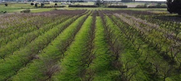 2 bedrooms House in Palmela, Portugal No. 67837 17