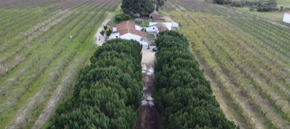 2 bedrooms House in Palmela, Portugal No. 67837 2