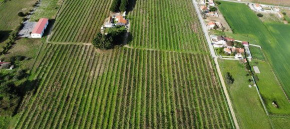 2 bedrooms House in Palmela, Portugal No. 67837 10