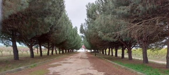 2 bedrooms House in Palmela, Portugal No. 67837 15