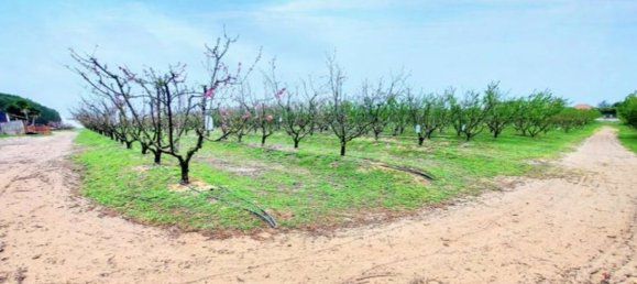 2 bedrooms House in Palmela, Portugal No. 67837 14