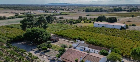 2 bedrooms House in Palmela, Portugal No. 67837 4