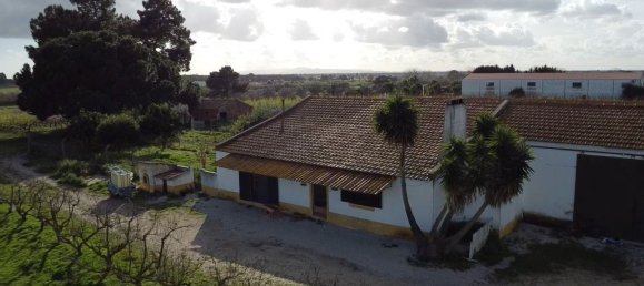 2 bedrooms House in Palmela, Portugal No. 67837 5