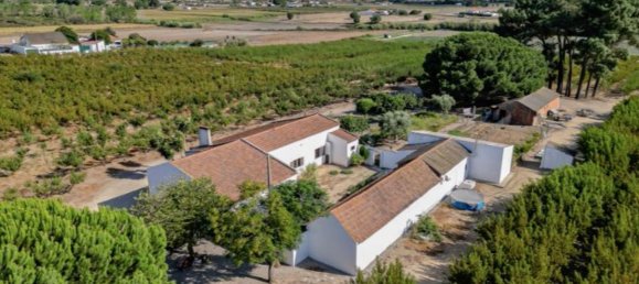 2 bedrooms House in Palmela, Portugal No. 67837 3