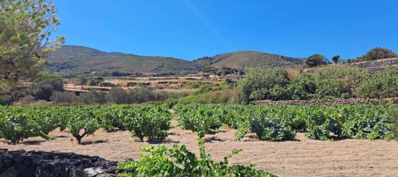 7 rooms House in Pantelleria, Italy No. 130359 24