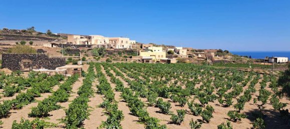 7 rooms House in Pantelleria, Italy No. 130359 26