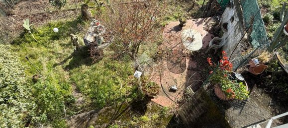 3غرفة شقة في San Lorenzo al Mare, Italy رقم 13148 26