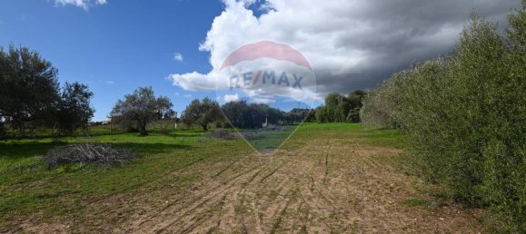 6غرفة فيلا في Caltagirone, Italy رقم 106623 19