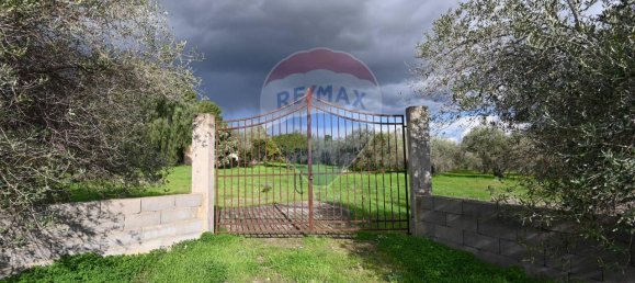 6غرفة فيلا في Caltagirone, Italy رقم 106623 31