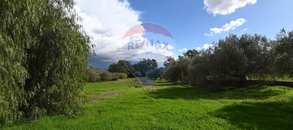 6غرفة فيلا في Caltagirone, Italy رقم 106623 5