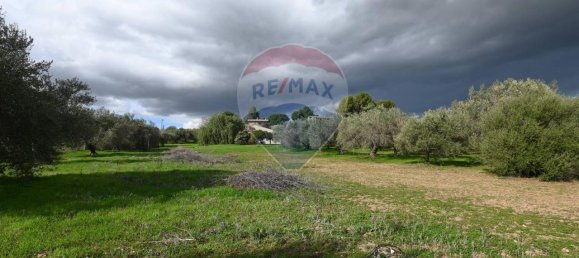 6غرفة فيلا في Caltagirone, Italy رقم 106623 25