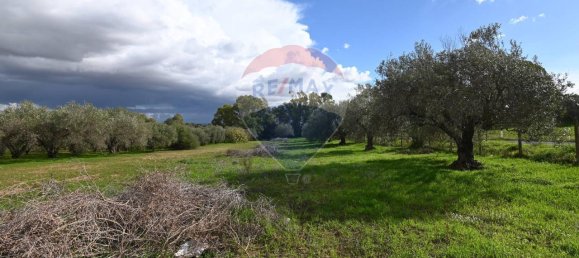 6غرفة فيلا في Caltagirone, Italy رقم 106623 21