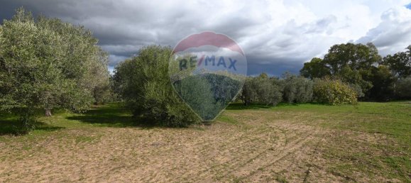 6غرفة فيلا في Caltagirone, Italy رقم 106623 23