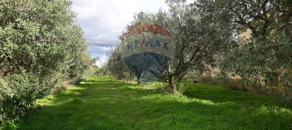 6غرفة فيلا في Caltagirone, Italy رقم 106623 12