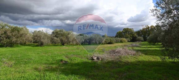 6غرفة فيلا في Caltagirone, Italy رقم 106623 29