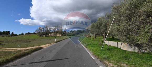 6غرفة فيلا في Caltagirone, Italy رقم 106623 30