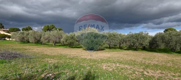 6غرفة فيلا في Caltagirone, Italy رقم 106623 26