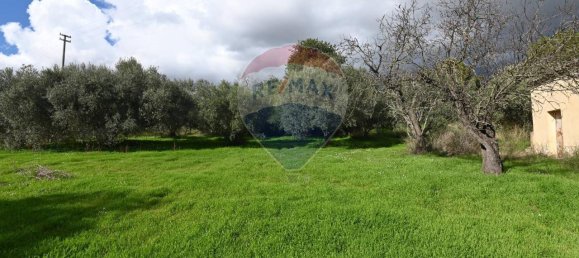 6غرفة فيلا في Caltagirone, Italy رقم 106623 7