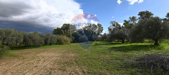 6غرفة فيلا في Caltagirone, Italy رقم 106623 22