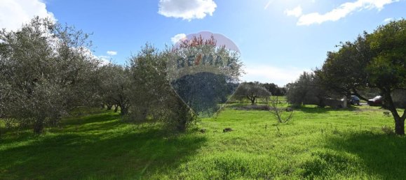 6غرفة فيلا في Caltagirone, Italy رقم 106623 17