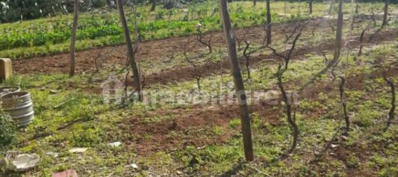 Grundstück in Nettuno, Italy 880m², Nr. 153791 13