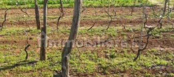 Grundstück in Nettuno, Italy 880m², Nr. 153791 9