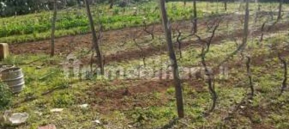 Grundstück in Nettuno, Italy 880m², Nr. 153791 7