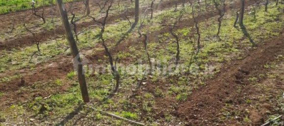 Grundstück in Nettuno, Italy 880m², Nr. 153791 14