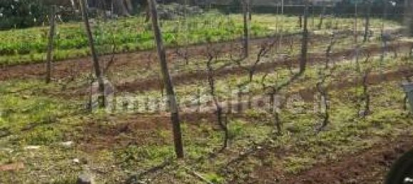 Grundstück in Nettuno, Italy 880m², Nr. 153791 4